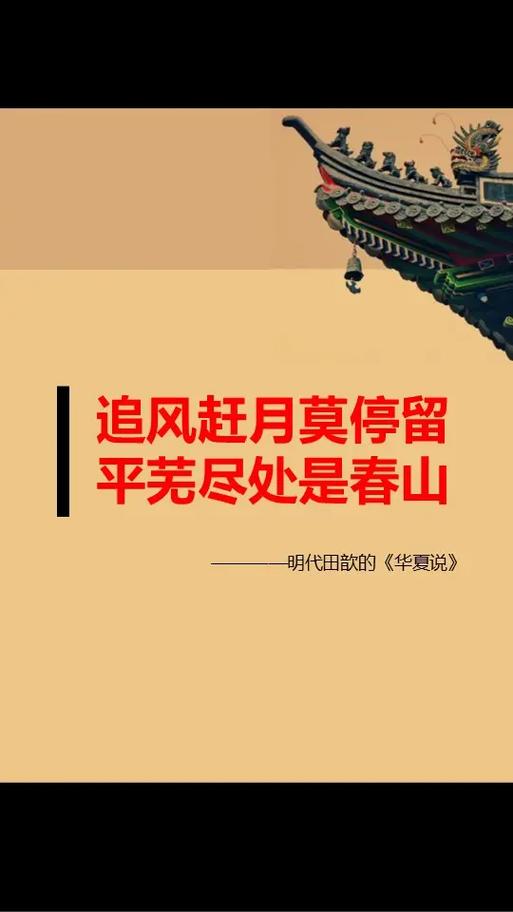 孙杨第二棒把成绩追到第一游戏截图