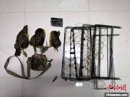 野鸡叫声 诱捕游戏截图