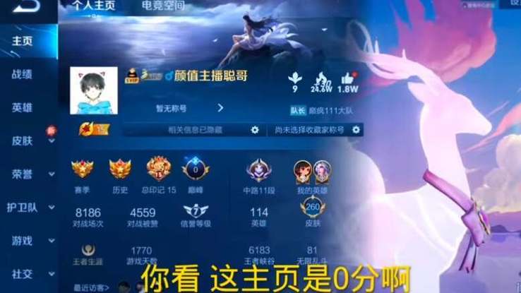 巅峰赛全国第一什么图标图标