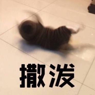打滚表情