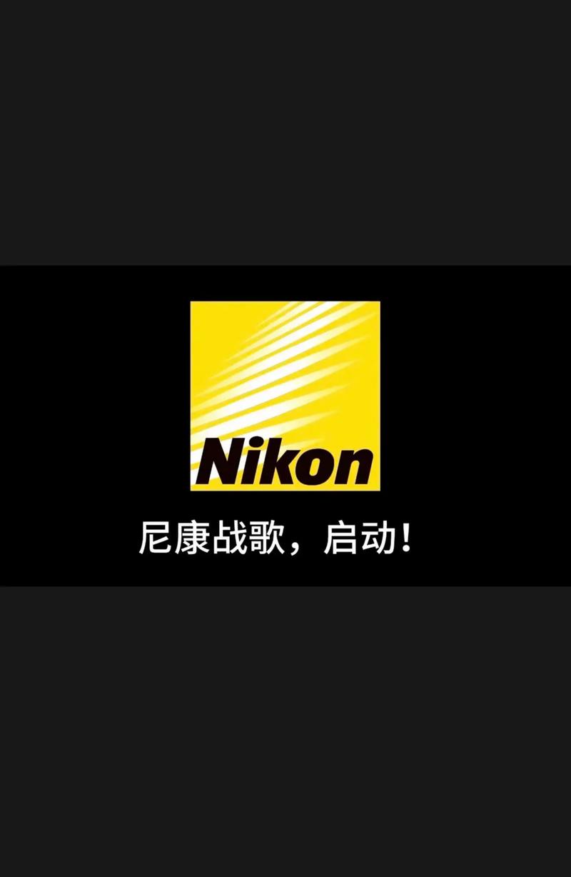 尼康d3200使用说明书游戏截图