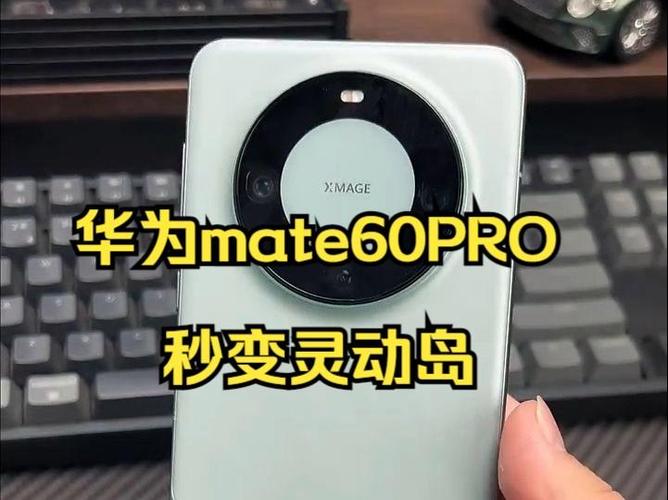 mate60pro有灵动岛功能吗