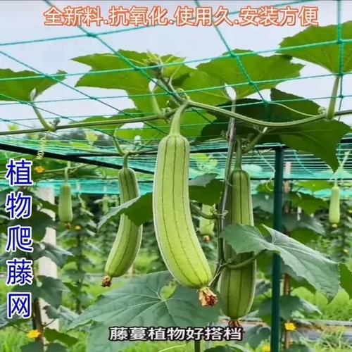 牵牛网是做什么的图标