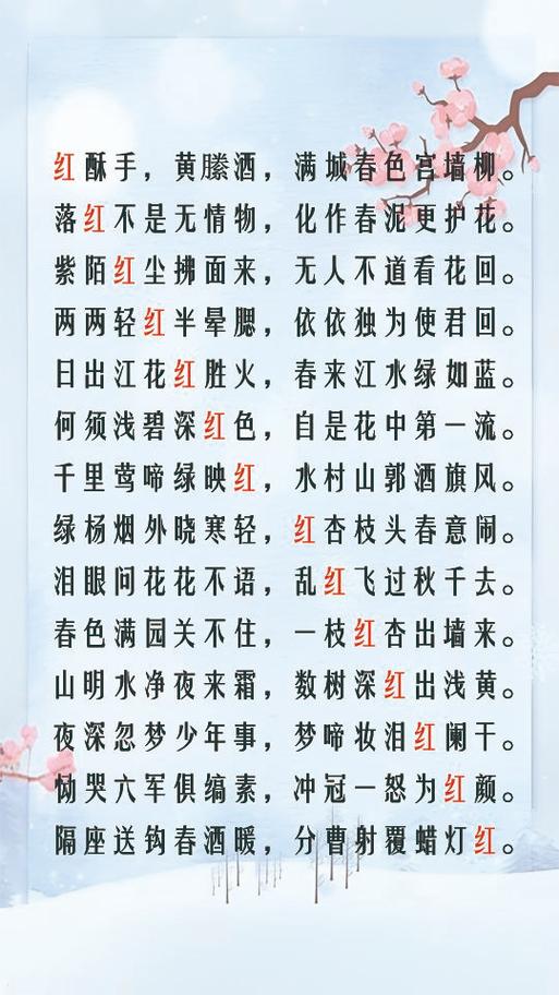 中国诗词大会 飞花令