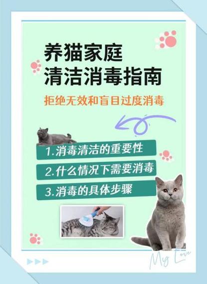 为啥家里不让养三只猫