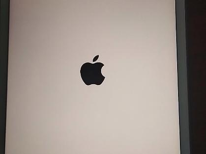ipad开机停留在苹果界面游戏截图