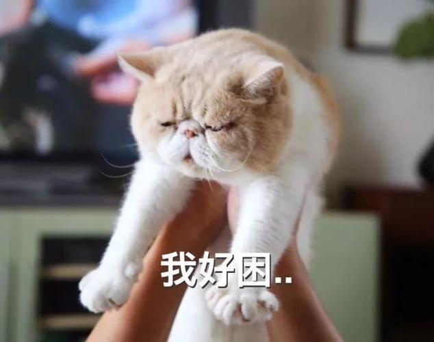 男朋友说困了想睡觉游戏截图
