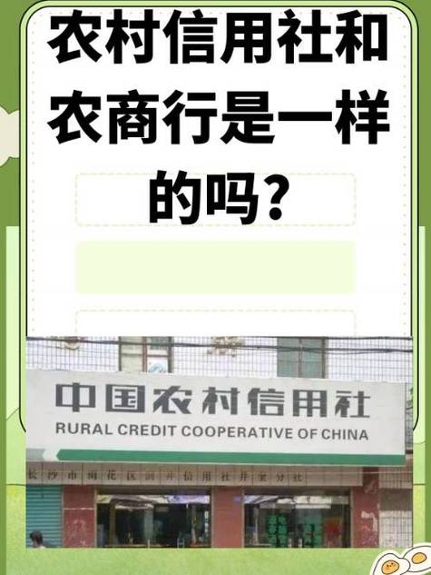 农村信用社登录密码怎么修改缩略图