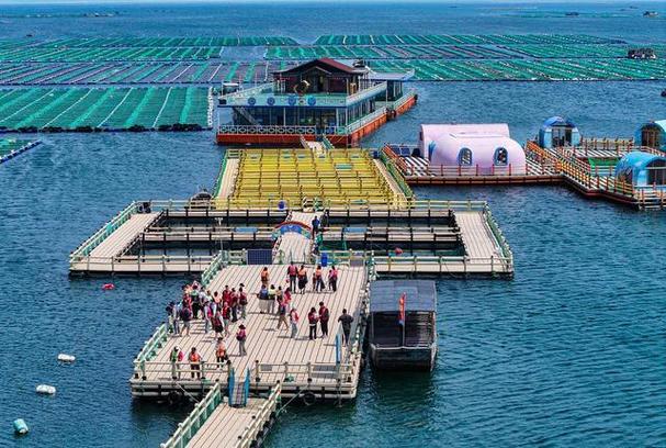 海洋牧场小说游戏截图