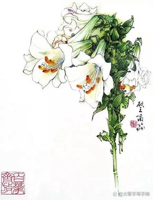 100种漂亮花边缩略图