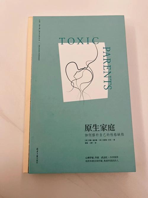 幸福家庭1.9空白版激活码游戏截图