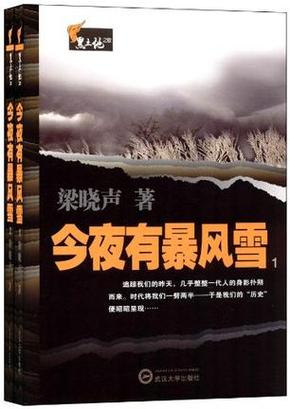 暴风小说网缩略图