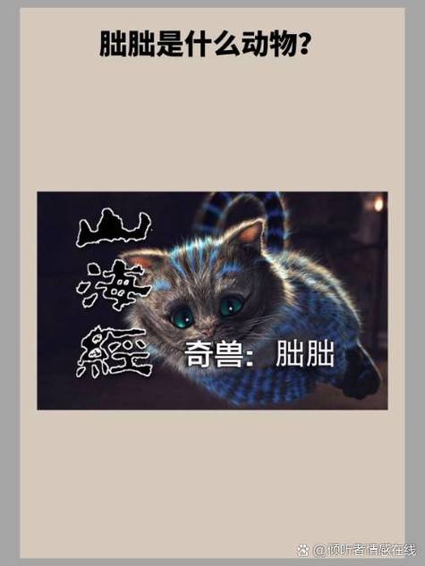 猫猫在线阅读缩略图