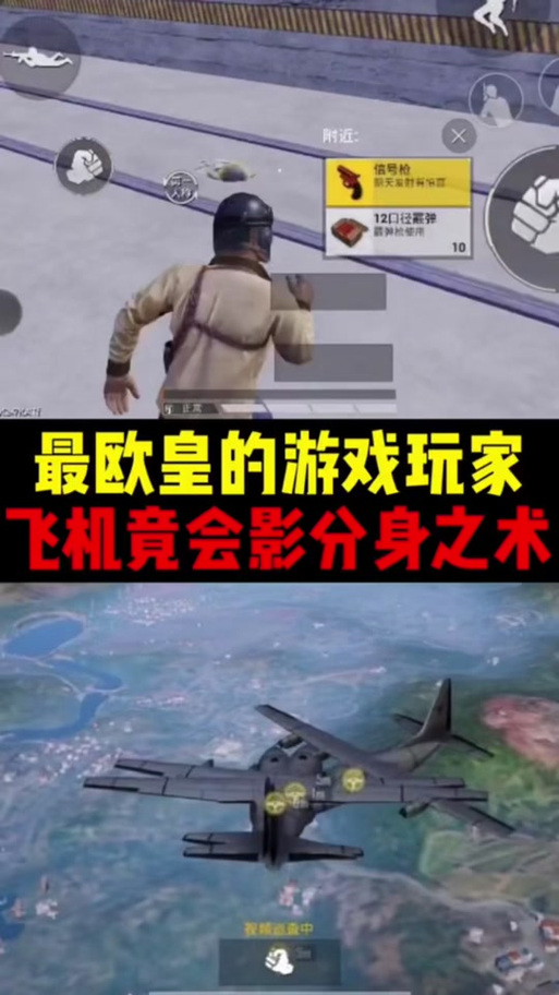 和平精英分身缩略图