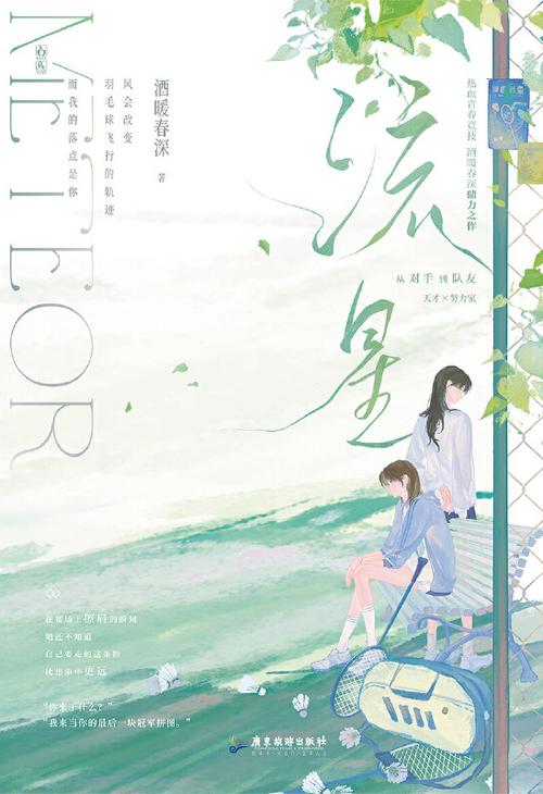 旋风流星小说