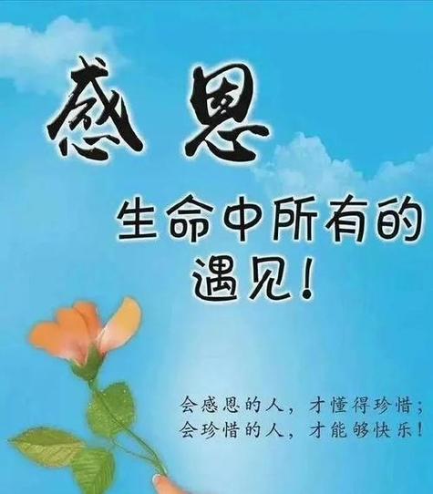 感恩遇见图片缩略图