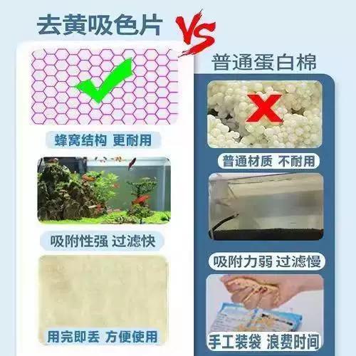 鱼缸有腥味怎么去除缩略图