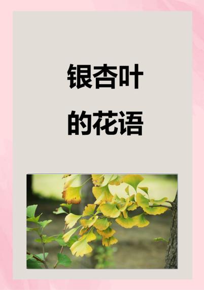 银杏叶的花语是什么缩略图