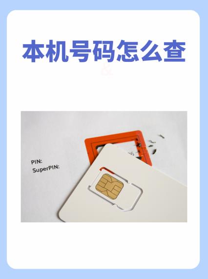 手机停机查询本机号码软件缩略图