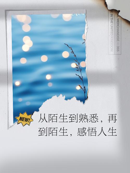 想念陌生人中字图标