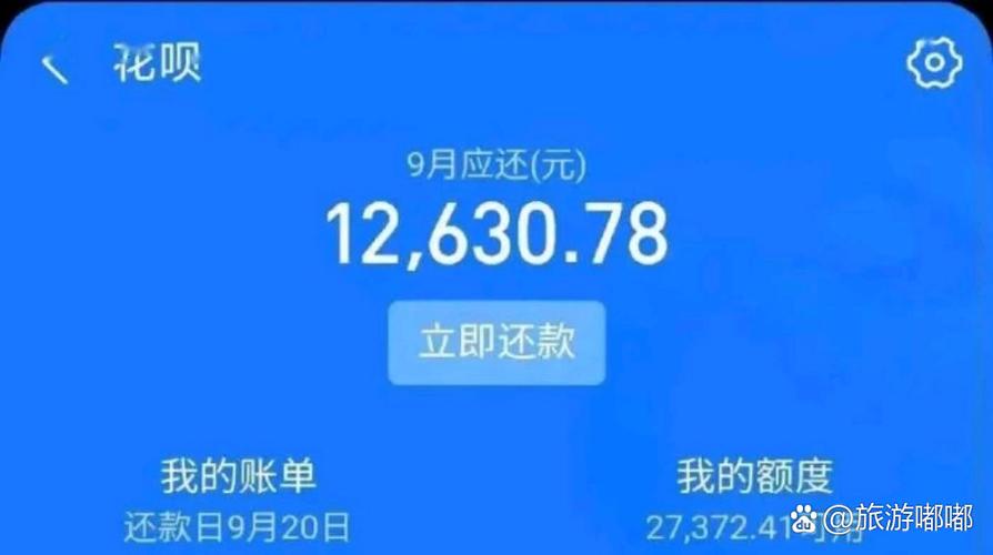 花呗不知道自己消费了啥图标