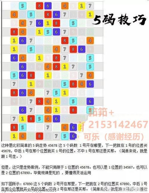 飞艇计划网全天计划五码三期