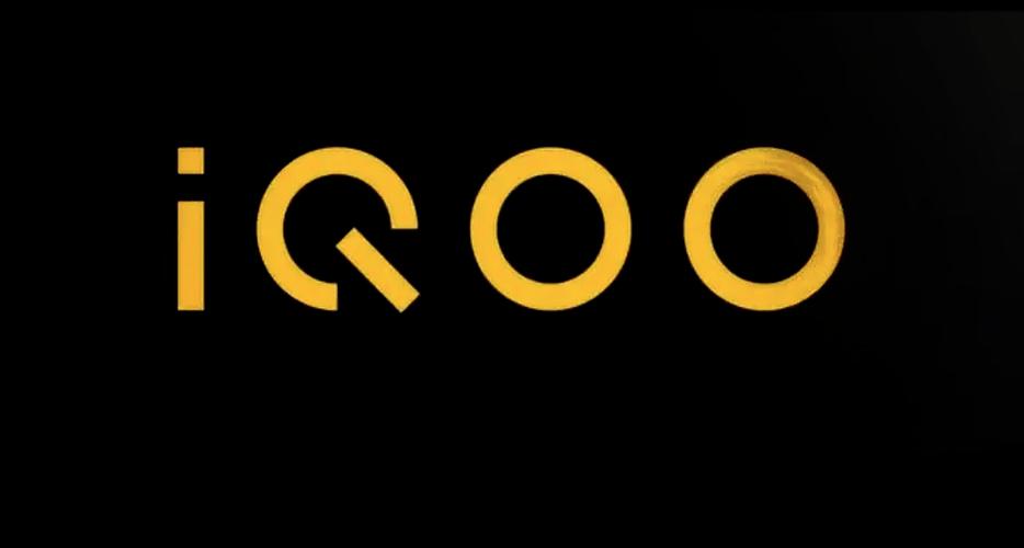 iqoo官网正品查询入口游戏截图
