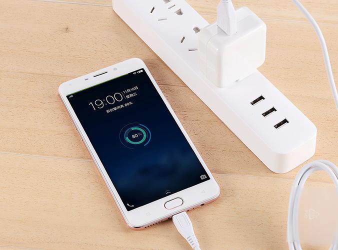 vivoz5x充电器参数缩略图