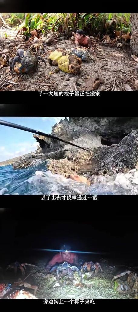 荒岛求生存木筏求生存冒险探索缩略图