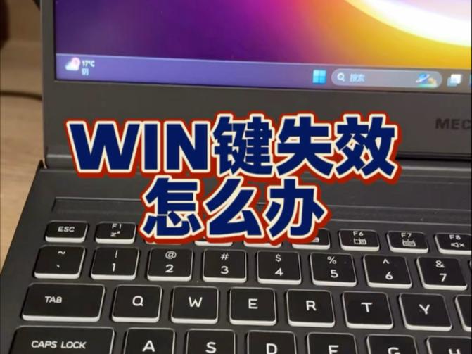 电脑键盘按了没反应游戏截图