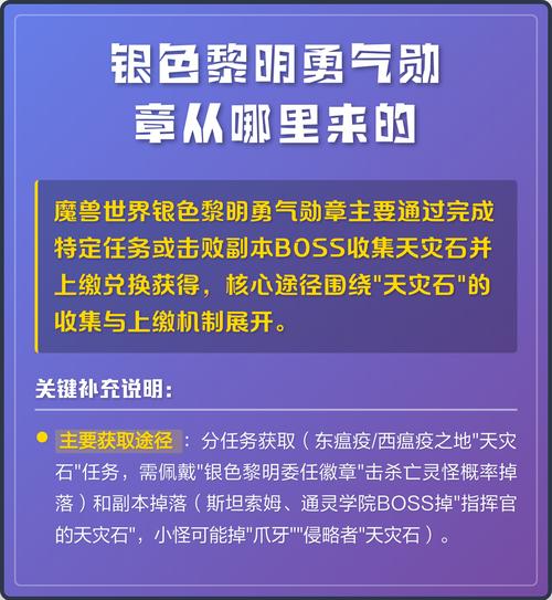 银色黎明委任徽章蓝色饰品