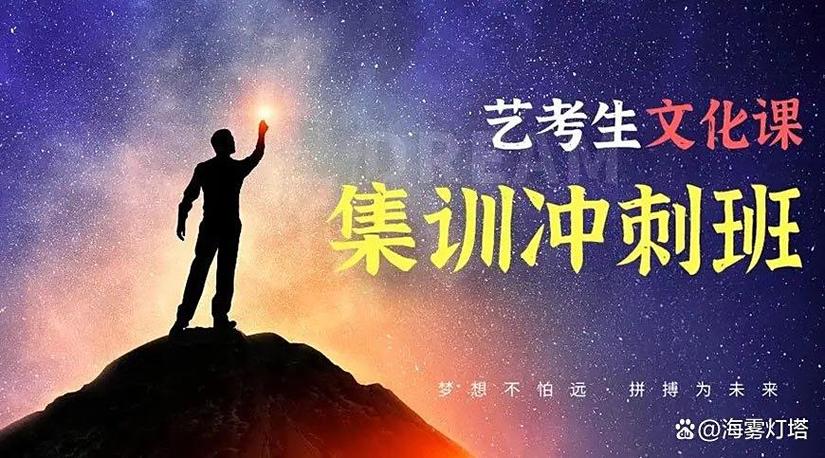 思达伴学app官方下载