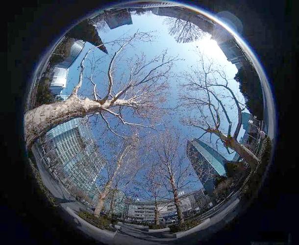 超广角视野修改器免费版缩略图