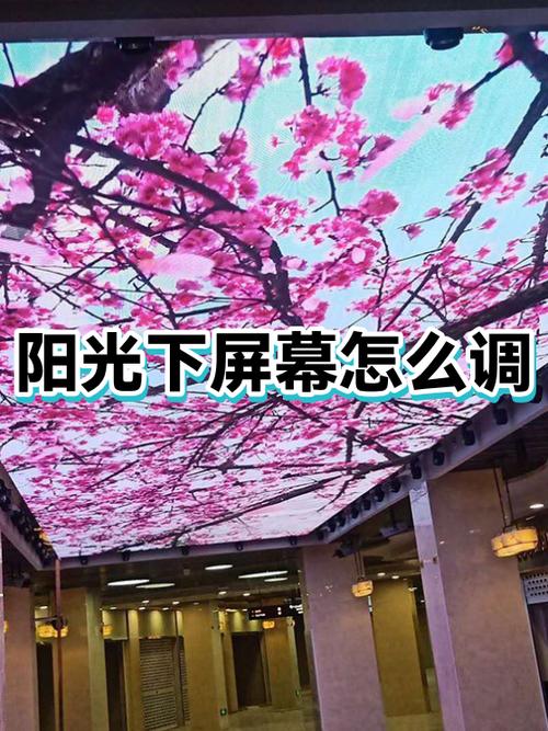 手机屏幕在阳光下的调节方法