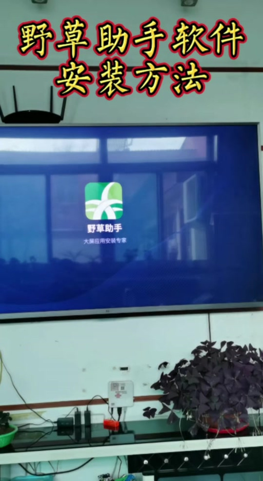 小米电视安装野草助手教程游戏截图