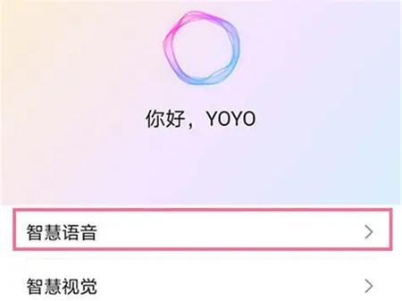 语音助手是什么图标
