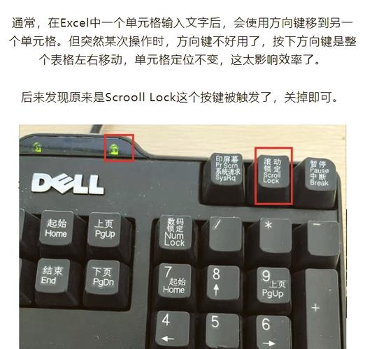 电子表格键盘方向键不能移动缩略图