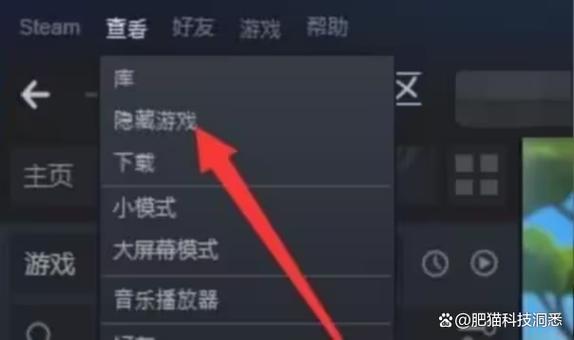 steam指令入库无许可