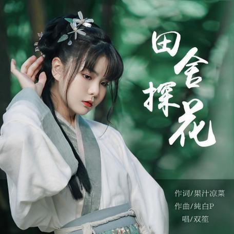 田舍探花歌词想表达什么缩略图
