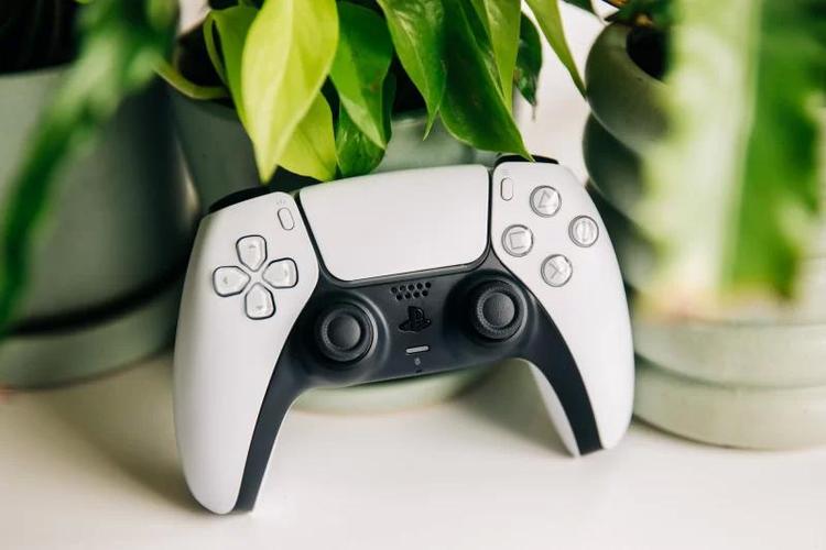 ps5支持其他手柄吗缩略图