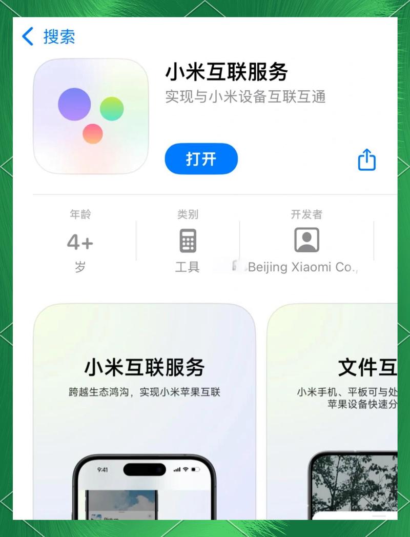 小米公司国内数据流量上网服务