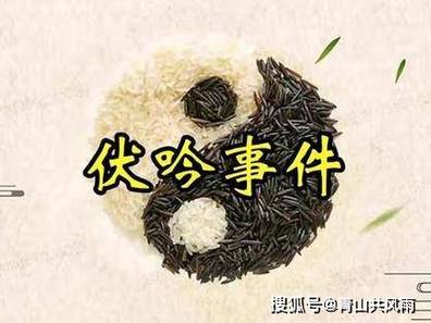 伏吟局最好破解方法