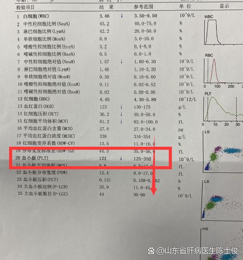 补体clq低于正常值