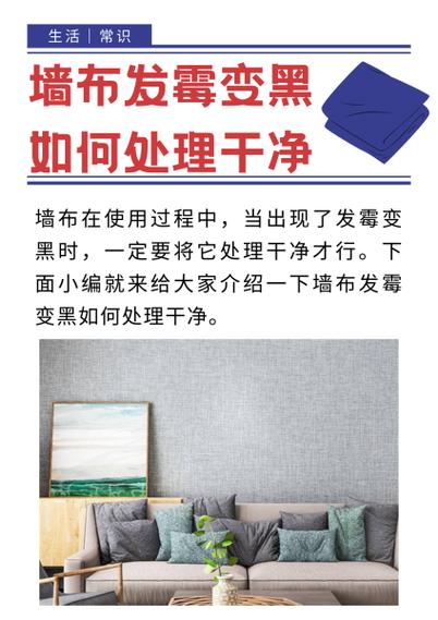 墙布发霉变黑怎么处理缩略图