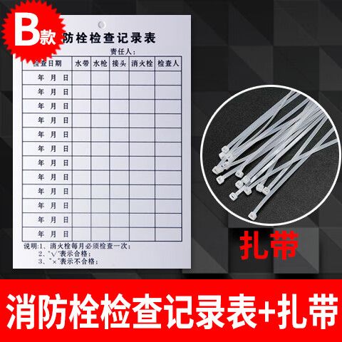 检查记录表模板