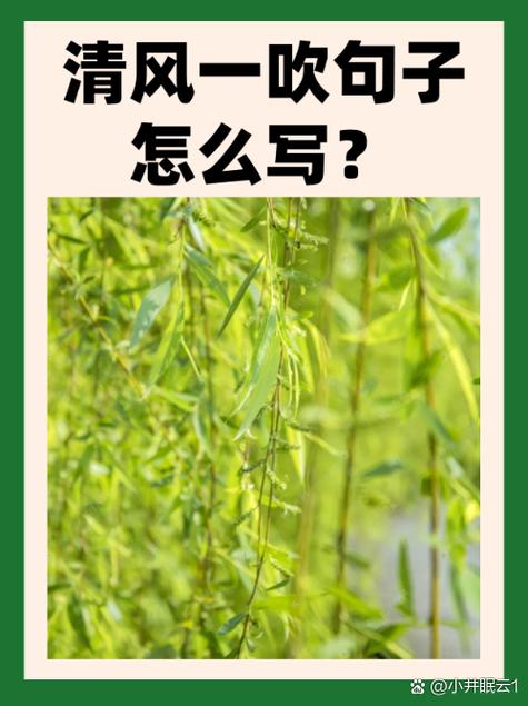 清爽的清是什么意思游戏截图
