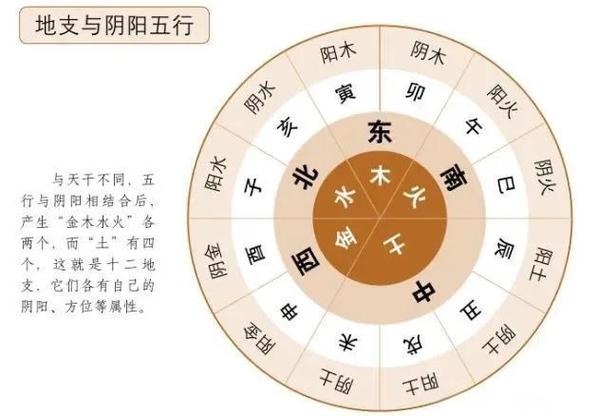阳和阴哪个更厉害图标