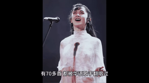 日本被翻唱的中文歌曲图标