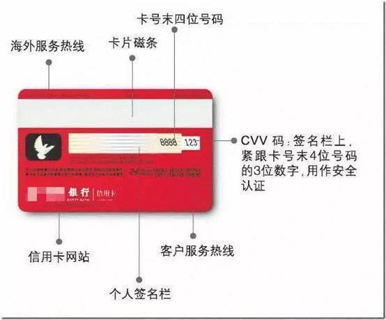 支付宝上能不能用信用卡付款