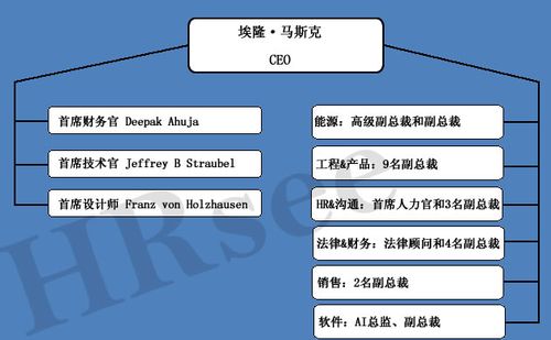 特斯拉部门关系
